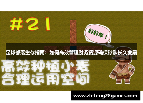 足球部落生存指南：如何高效管理财务资源确保球队长久发展