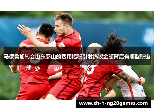 马德鲁加转会山东泰山的费用揭秘引发热议金额背后有哪些秘密